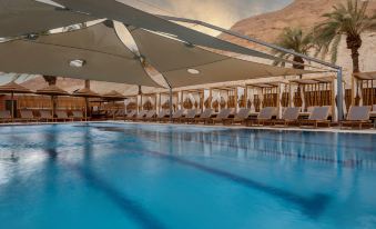 Oasis Dead Sea Hotel