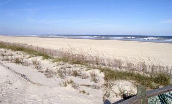 Beachfront Bed & Breakfast