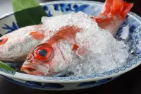 Shaga-No-Sato Yumeya