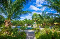 Palm Pran Resort - Rooftop Pools