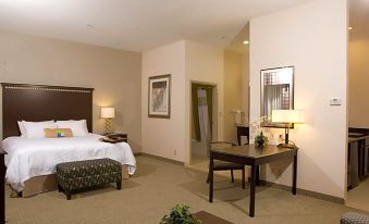 Hampton Inn & Suites Mount Pleasant