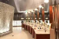Oryx Airport Hotel -Transit Only