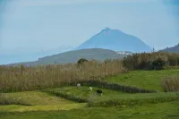 Casas do Pinheiro