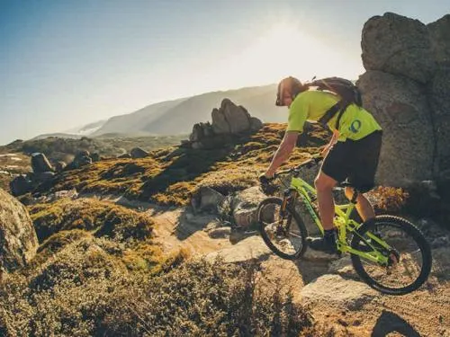 贊達拜麥克魯爾環線4號銀樹公寓