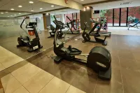 Fuengirola Beach Apartamentos Turísticos - Træningscentre