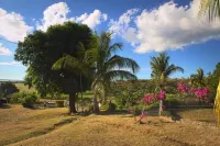 The Beehive Fiji Hotels in Volivoli