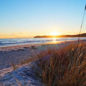 Appartementhaus Gutenberg