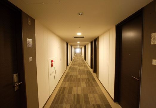 다이와 로이넷 호텔 쓰쿠바 객실