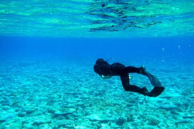 その他 ホテル オーシャン グランド アット フルマーレの写真