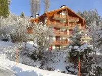 Le Torrent 1 Hotels in Sierre