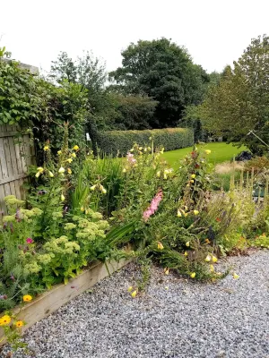 Blossom Hill Bed and Breakfast Hotels in Clare