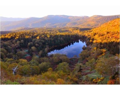 ホテル周辺 新玉川温泉の写真