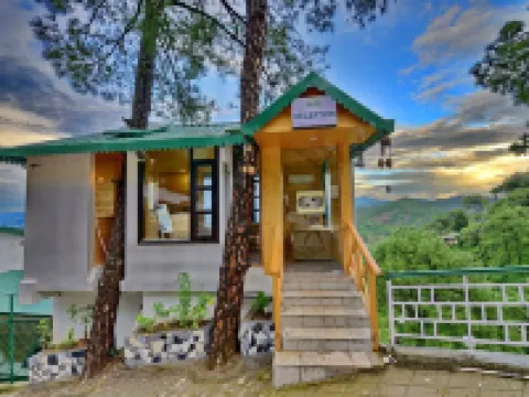 Kasauli Exotica Hotels in Solan