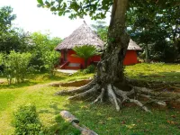 Ankobra Beach Resort Hotels in 