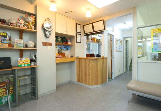 주변 산책로 전경