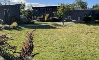 a large , well - maintained lawn with a few bushes and trees in front of a building at Lodges on Vashon