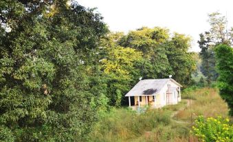 Hornbill Resort - Housity