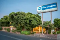 Best Western Village Inn Hotels in Fresno