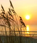 Ocean Coast Hotel at the Beach Amelia Island Hotels in Amelia Island