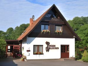 Pension Willischza