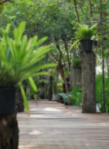 บ้านสวนแก้วคำแพง