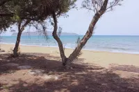 “Lifeguard” Beachfront: Luxury Flat, 30Meters from Sea