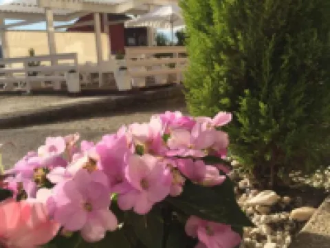 Hotel Rosalía Hotels in Padron
