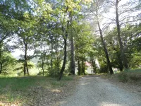 Les Grenaches Hotels in Draguignan