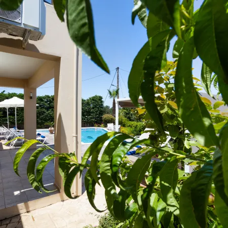 Palladio Luxury Villa with Amazing View