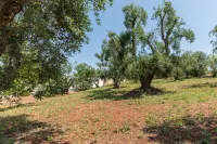 Masseria Bel Cortile - Ostuni