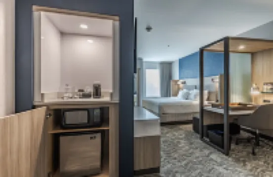 SpringHill Suites by Marriott Detroit Sterling Heights