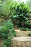 Villa Israel Ecopark El Nido - spa