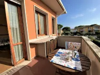 Palazzeta III