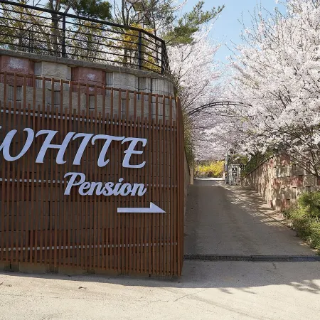 White Pension