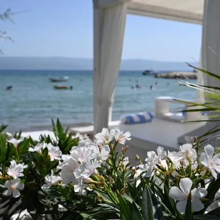 Damianii Luxury Boutique Hotel & Spa