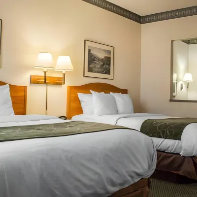 Baymont by Wyndham Phoenix North Hotels near North Mountain