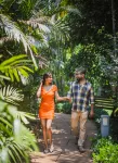 Goa Marriott Resort & Spa - Pet friendly