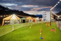 Qingdao is Exciting Dog Glamping