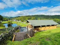 Torrent Walk Glamping Các khách sạn ở Dolgellau