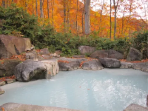 APA Hotel Joetsu Myoko Ekimae