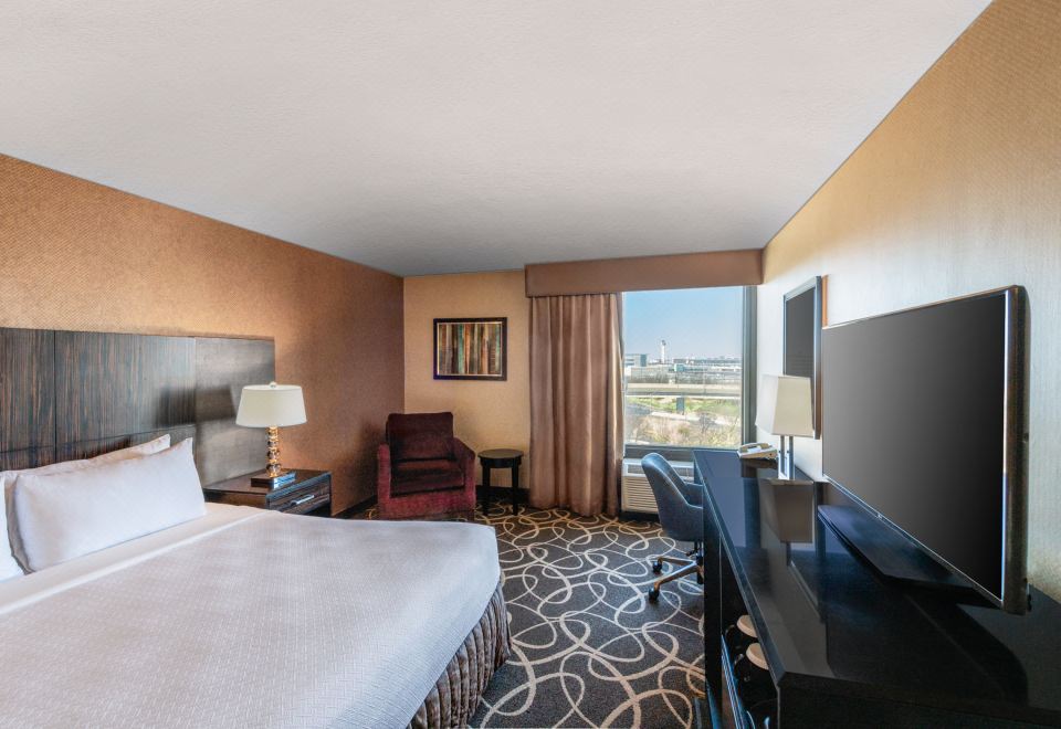 엘리자베스 여행