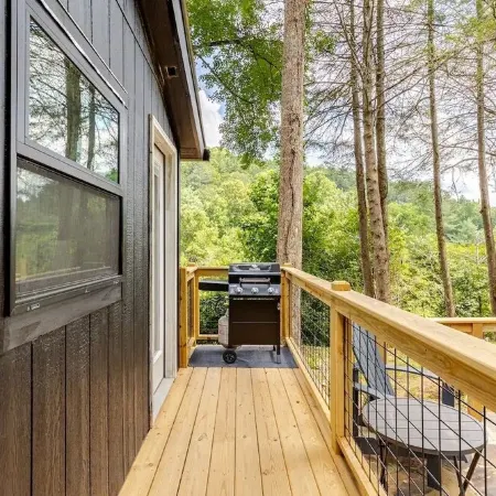 Modern cabin retreat with serene outdoor oasis