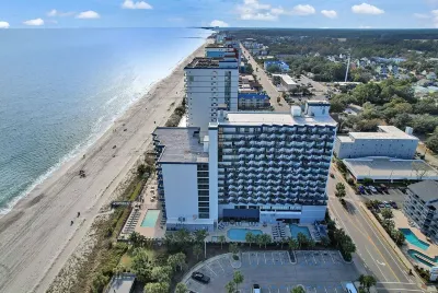 NEW! 10th Floor! Tip-Sea Turtle, Beach View! Hotels in 