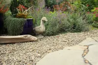 Private, cozy, airy garden studio suite, for 1 or 2 guests Hotels in 