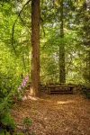 Pet Friendly, Mt Hood Cabin With Hot Tub!