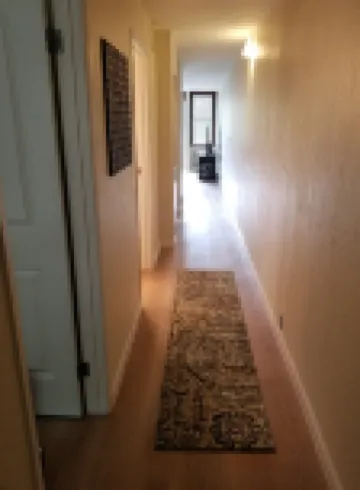 Apartment in town-walking distance to everything