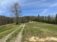 Rustic 1 BR, Pet Friendly Cabin Near Red River Gorge