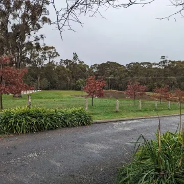 Studio at Beechworth next to the forest. Pet friendly but please let us know. .