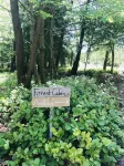 On a 40 acre estate, outdoor soaking tub,  fire pit, hammocks, pet friendly! Hotels in Vashon