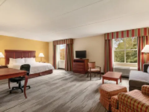 ハンプトン イン & スイーツ ウィリアムズバーグ ヒストリック ディストリクト ウィリアムズバーグのホテル